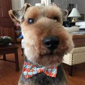 Meet your Posher, Brian